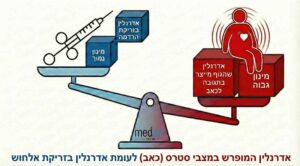 משקל האדרנלין אינפוגרפיקה