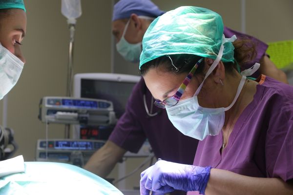 מומחה ברפואת שיניים